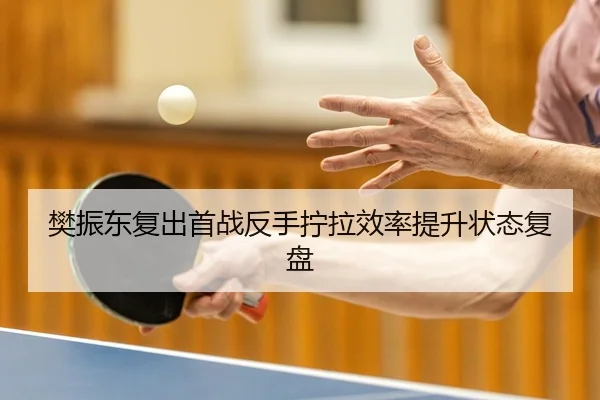 樊振东复出首战反手拧拉效率提升状态复盘